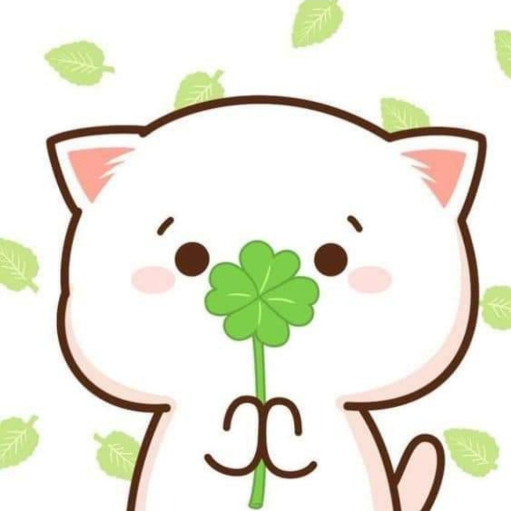 Meet your Posher, Ann!!